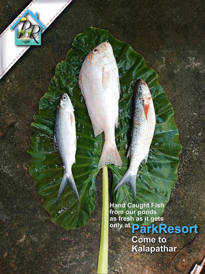 Parkresort - Organic Farm Resort Kala Pathar Beach Εξωτερικό φωτογραφία