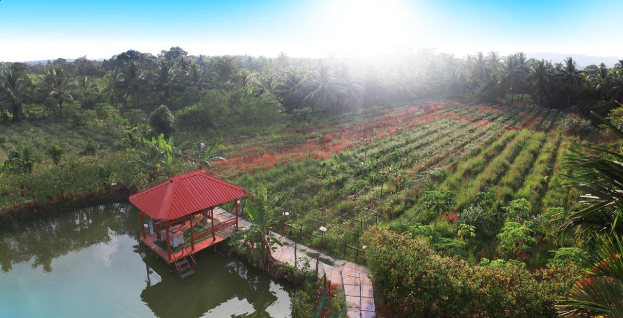 Parkresort - Organic Farm Resort Kala Pathar Beach Εξωτερικό φωτογραφία